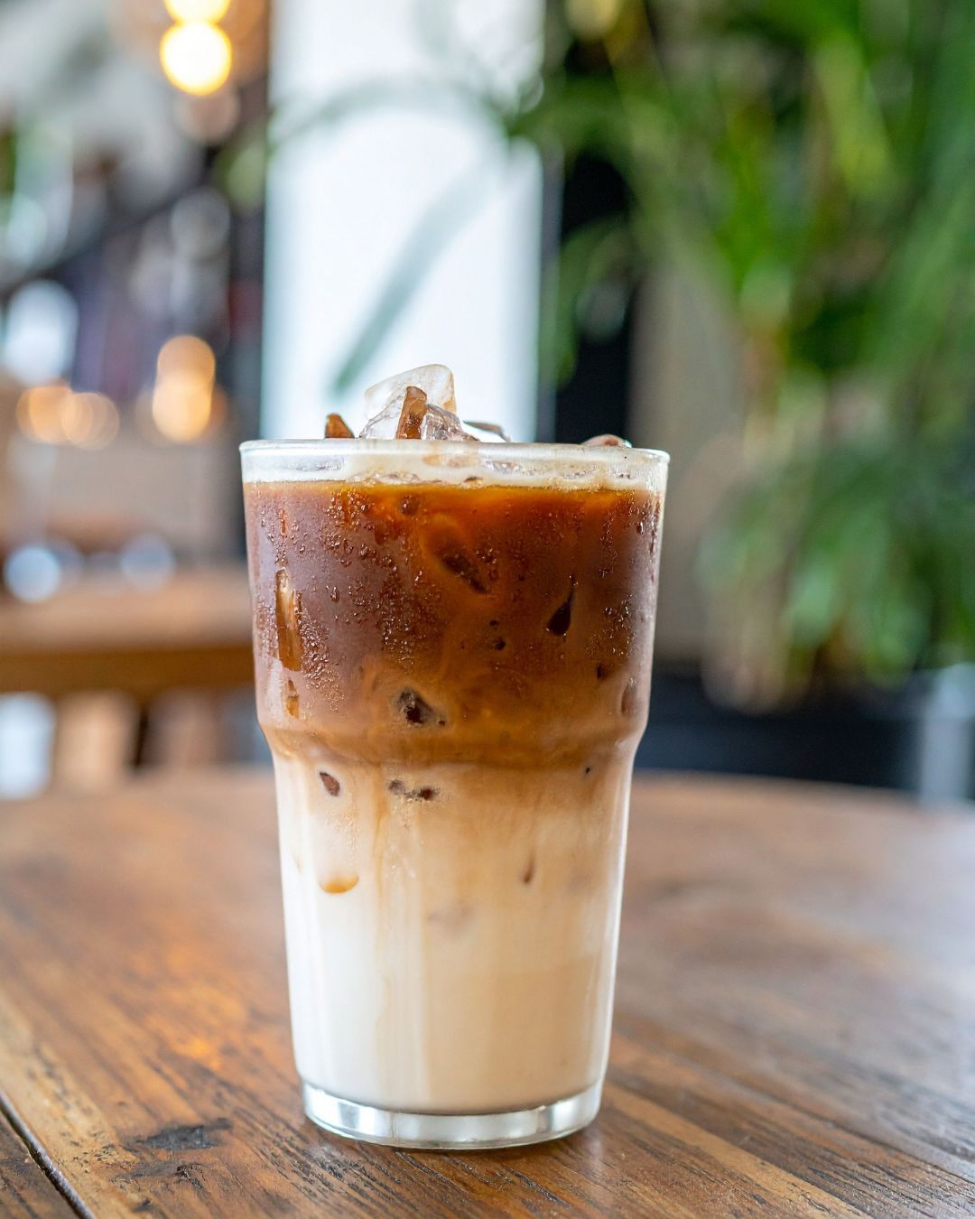 ☕ Latte (Hot & Cold)